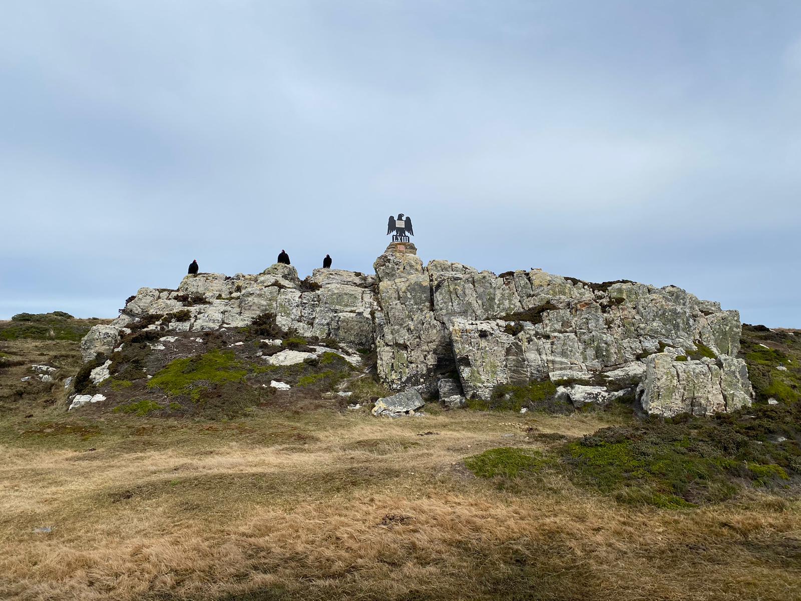Black-Eagle-Canopus-Hill