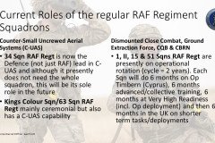 Current Roles of the regular RAF Regiment Squadrons