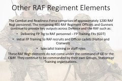 Other RAF Regiment Elements