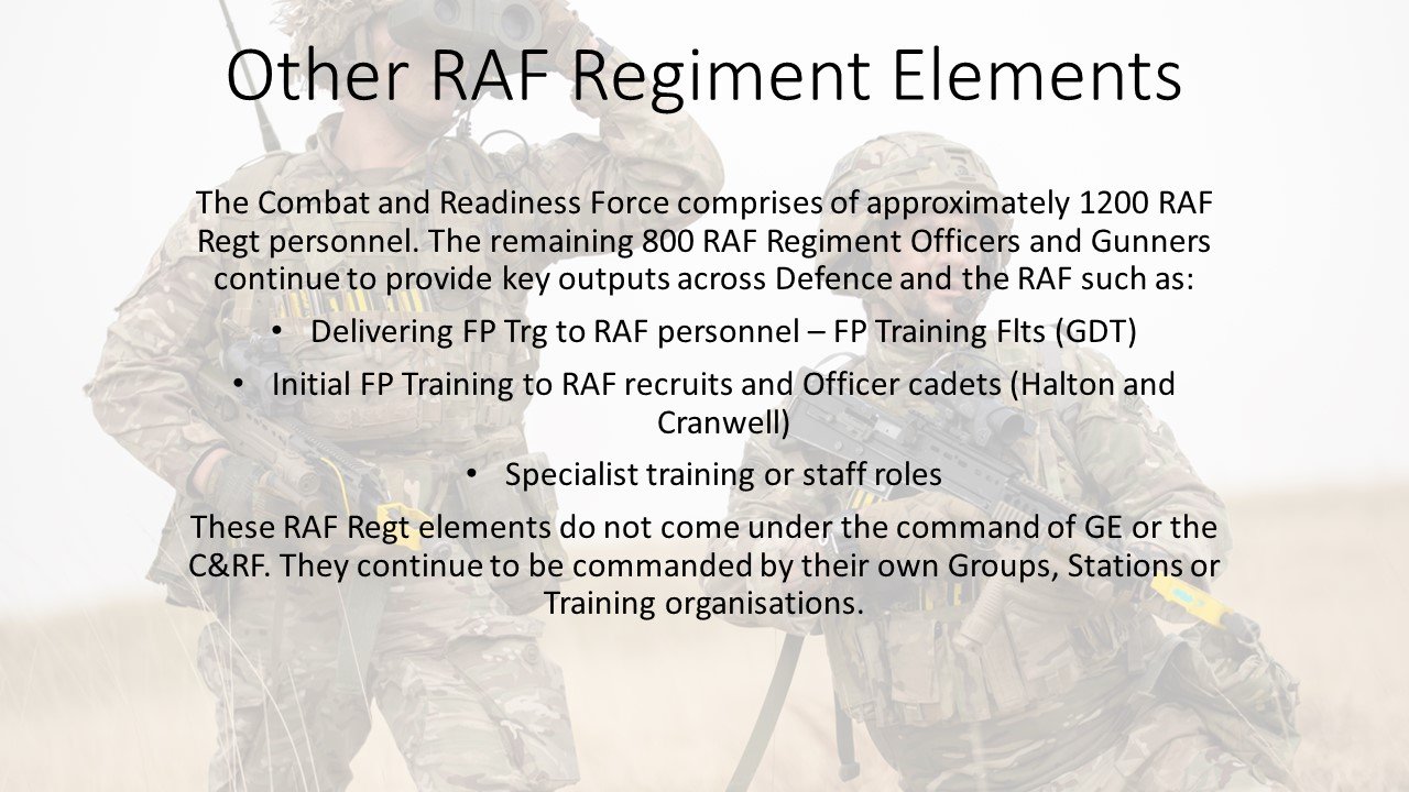 Other RAF Regiment Elements